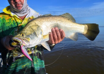 REVIEW: Zerek Barra X Pro Series