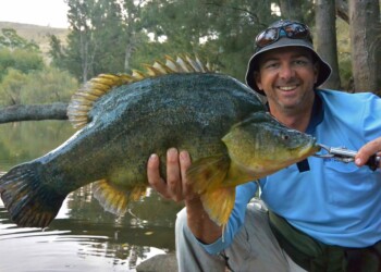 Government and fishos unite to improve health of upper Macquarie River