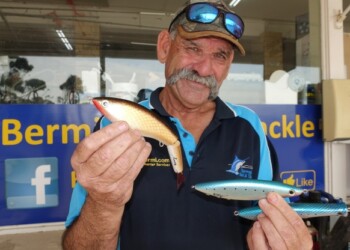 Limited edition Bushy lures available soon