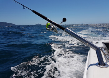 Turn your trailerboat into a bluewater machine with Hook’em