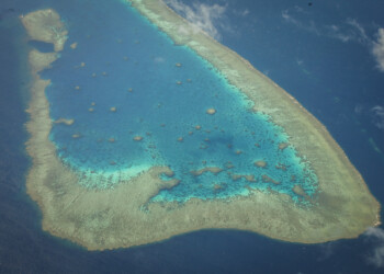 Opinion: Extreme environmentalists in a spin