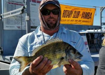 “Tim the Bream” Fishing Titles, Yamba, NSW