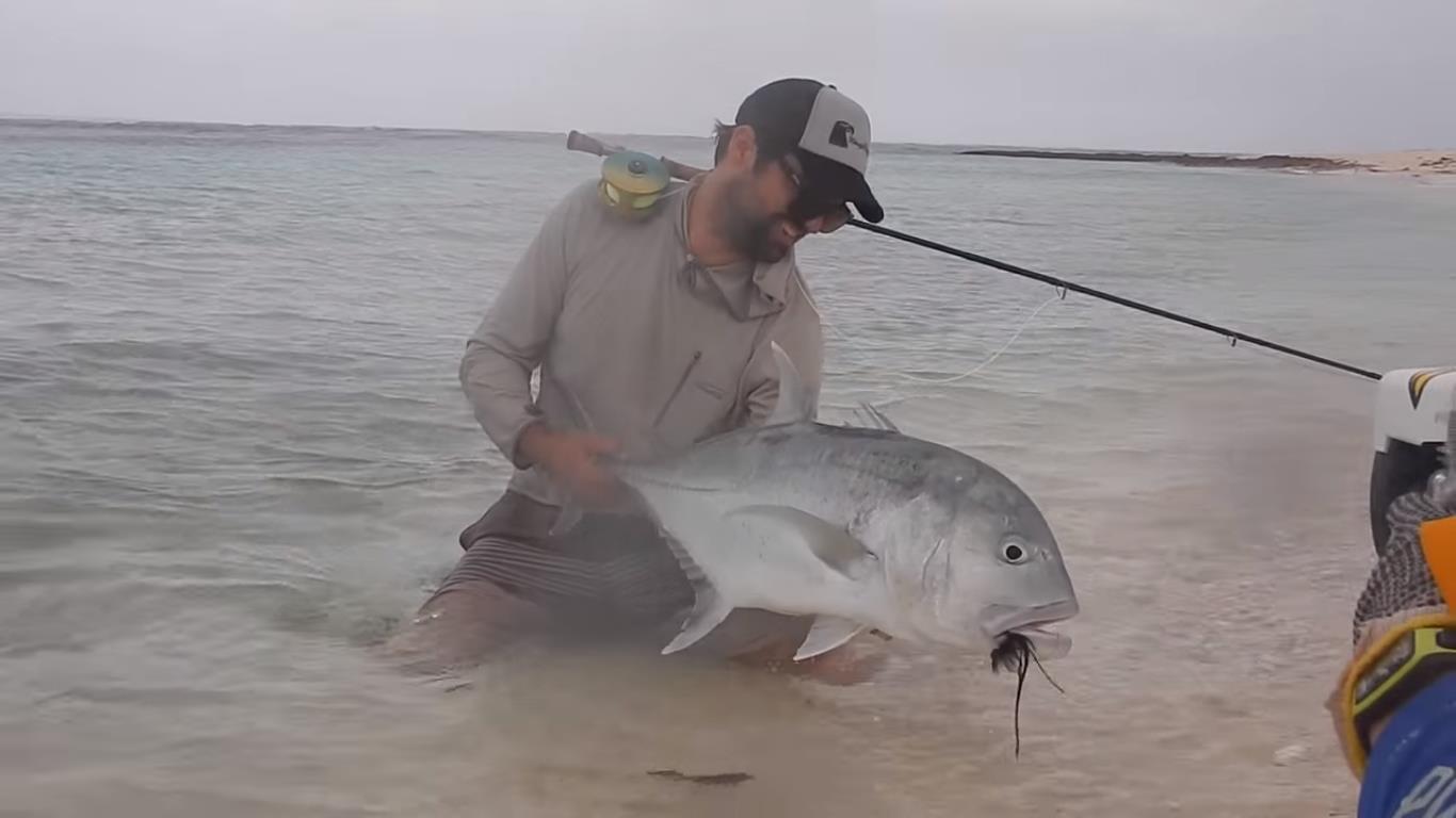 VIDEO: Matching the hatch...with a bird fly! - Fishing World Australia