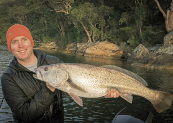 How to catch jewies on vibes