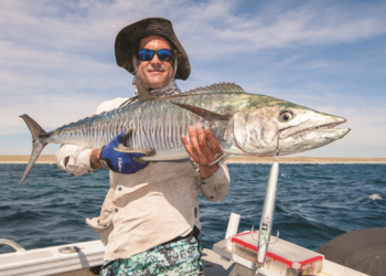 How to catch mackerel on stickbaits
