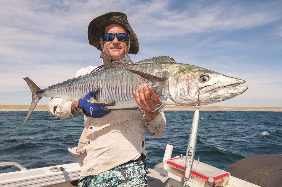 How to catch mackerel on stickbaits - Fishing World Australia