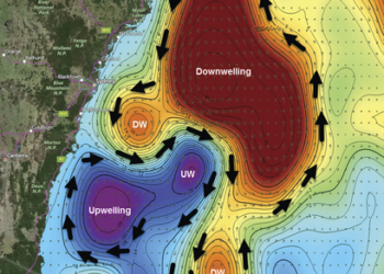 How to use sea surface charts to find fish