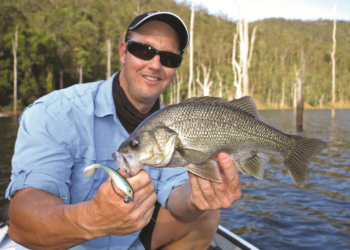 How to rig weedless soft plastics