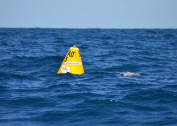 NSW FAD season gears up