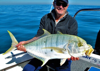 Hervey Bay fishing report