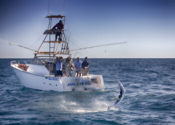 Bucket list Broome sailfish