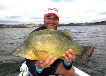 How to catch yellowbelly