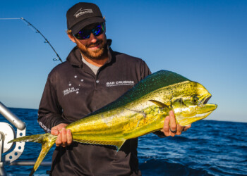 NSW FAD installation commences