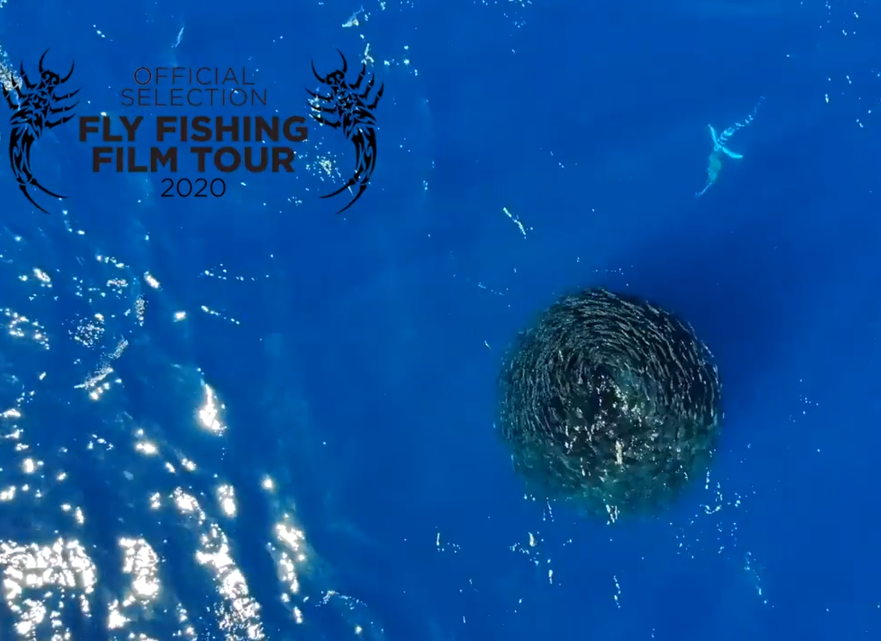 VIDEO: Fly fishing for striped marlin in Mexico - Fishing World Australia
