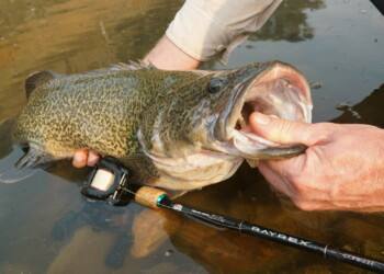 Abu Garcia Rayrex range review