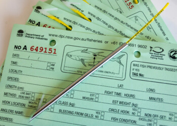 NSW DPI Fisheries: Tagging fish – what is it and how it works