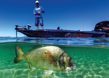 Gettin’ crabby: How to use crab lures for bream