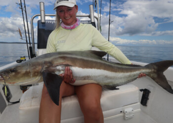 Hervey Bay Fly and Sportfishing report