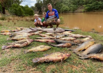 Fish breeding event killed: Macquarie River