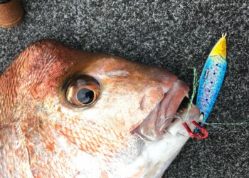 Berkley Skid Jig review