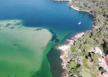 Recreational Fishing Alliance of NSW: Red tape choking the blue economy