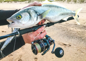 Shimano Vanford review