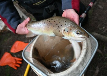 A win for anglers and threatened species