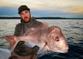 Shimano Jewel review