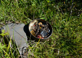 Trout opening on the Macquarie River