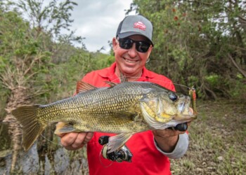 Bass Essentials: Catching bass on lures