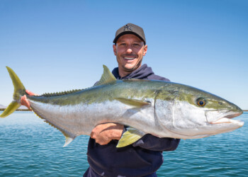Trophy-size yellowtail kingfish caught six times!