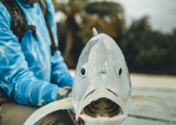 DESTINATIONS: Fishing the Cocos (Keeling) Islands