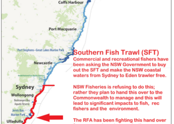 Recreational Fishing Alliance of NSW: Stakeholders ignored in Southern Fish Trawl plans