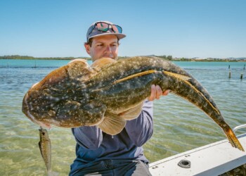 Croc Bait: How to use big lures for giant flathead