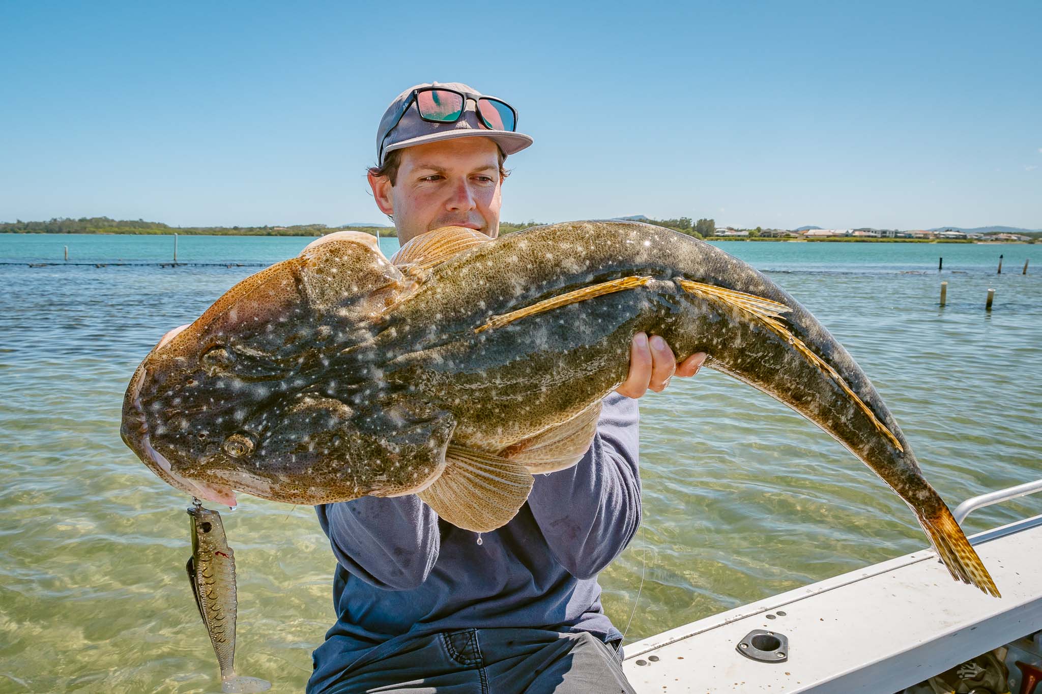 Croc Bait How To Use Big Lures For Giant Flathead Fishing World 