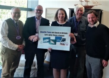 U.K. Bluefin Tuna Project gathers pace