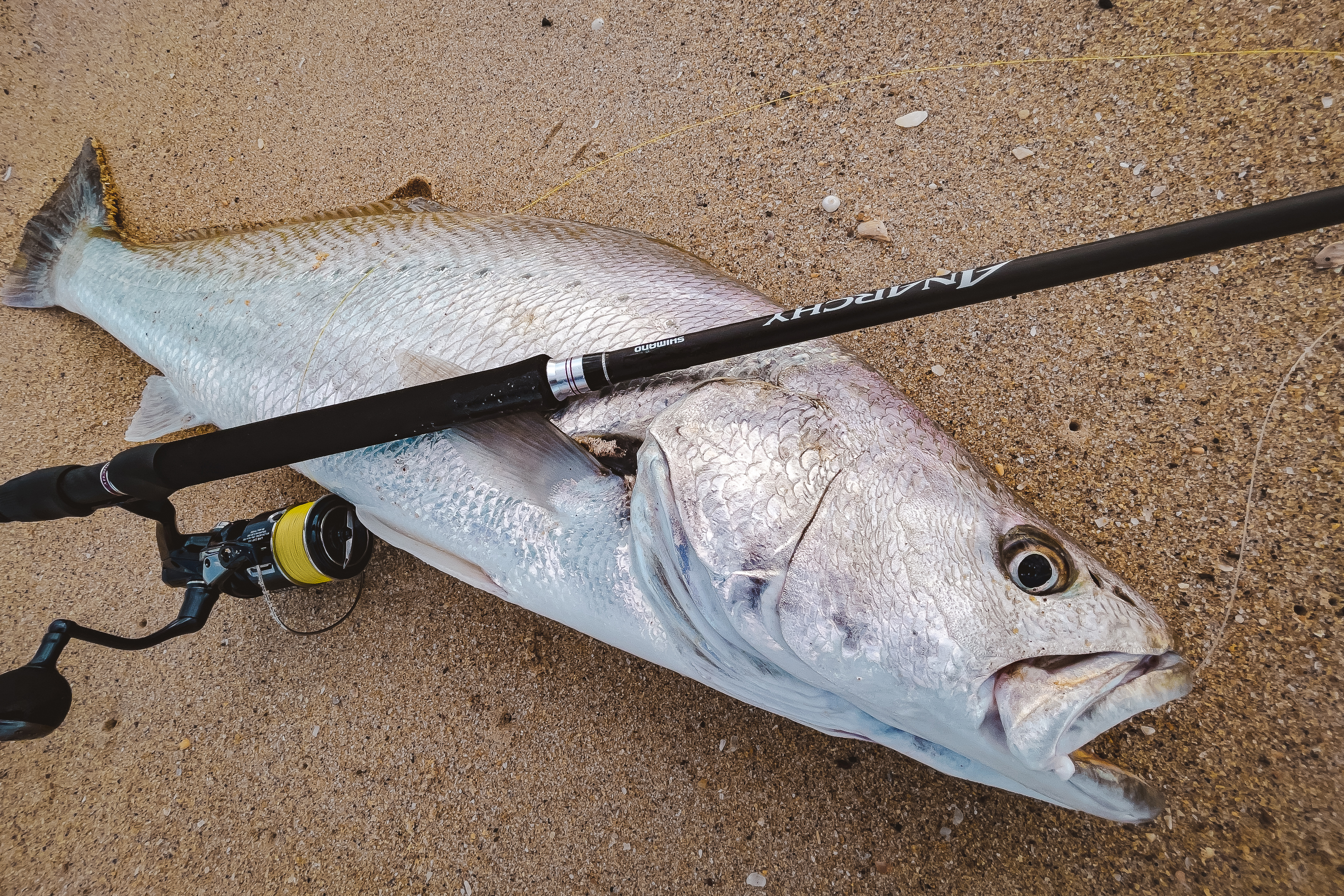 Shore Fishing - Surf Fishing for Sea Bass with Metal Lures 