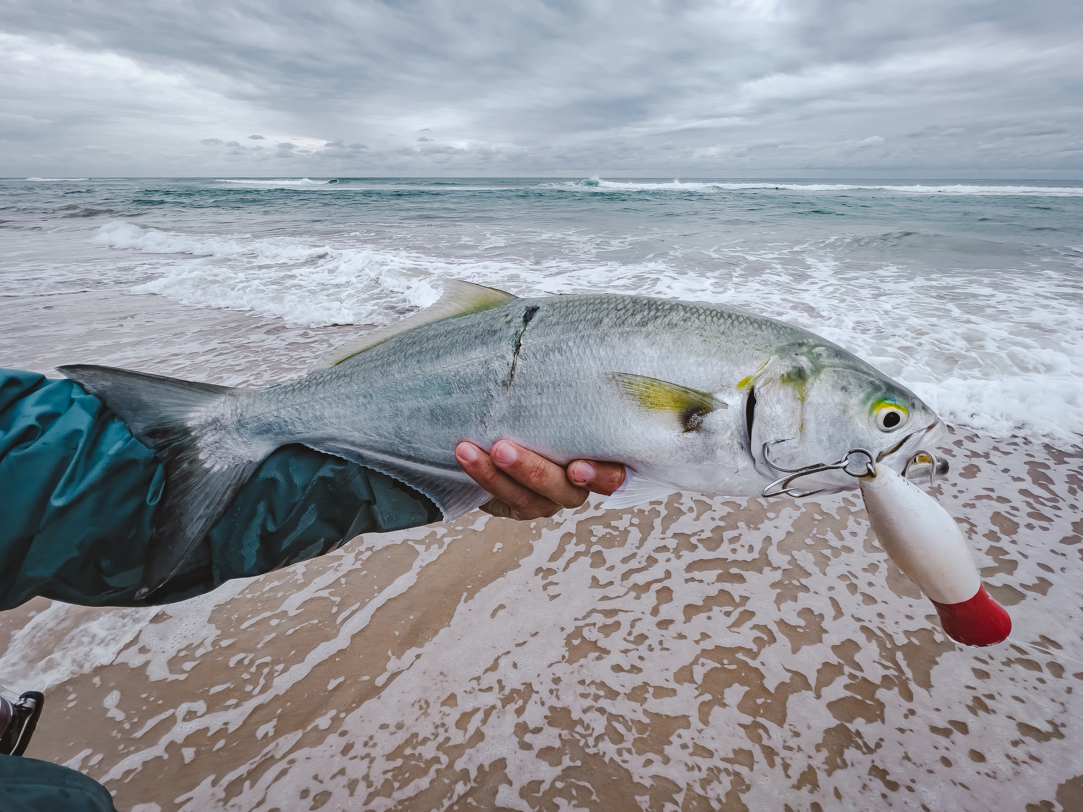 Lure fishing the beach - Fishing World Australia