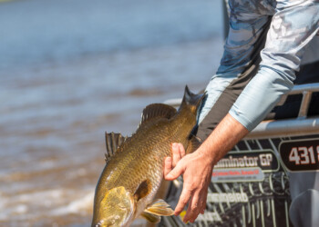 More ways to win the Million Dollar Fish