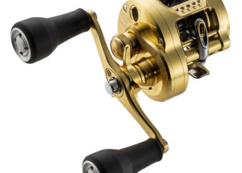 Shimano Calcutta Conquest MD