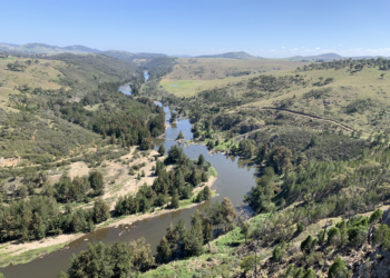 Canberra residents set to care for and protect the mighty Murrumbidgee 