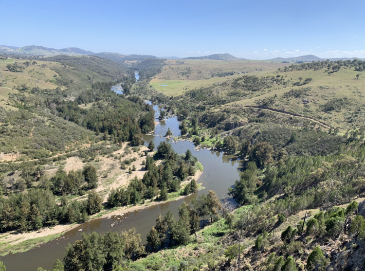 Canberra residents set to care for and protect the mighty Murrumbidgee