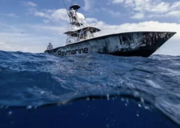 Raymarine launches new website