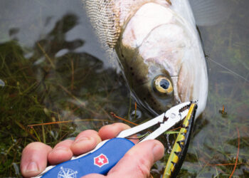 Swiss Army Skipper Blue review