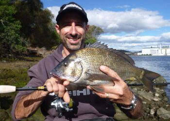 Fishing inshore structure