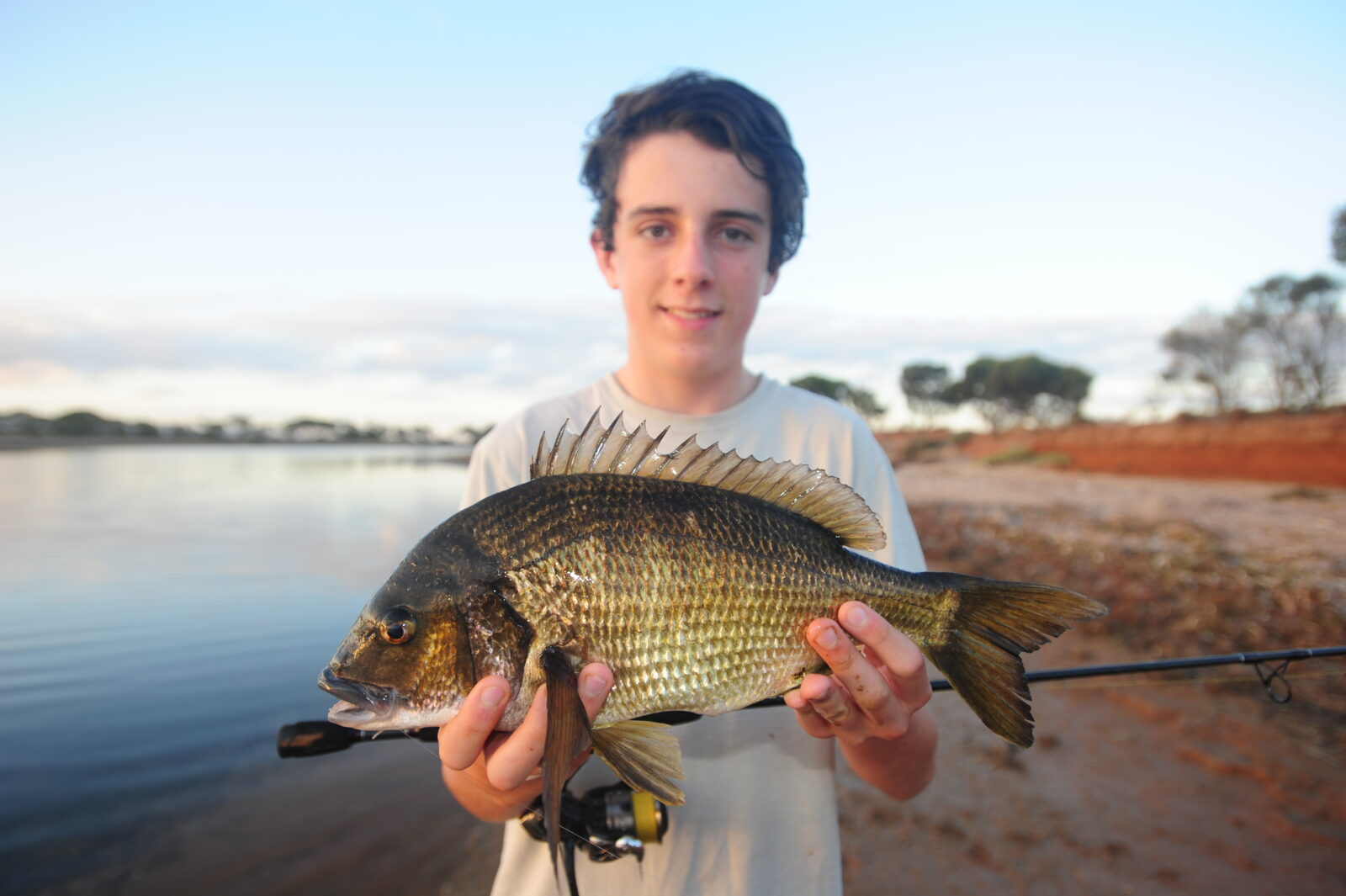 Scott's Species – black bream, an estuarine and river favourite