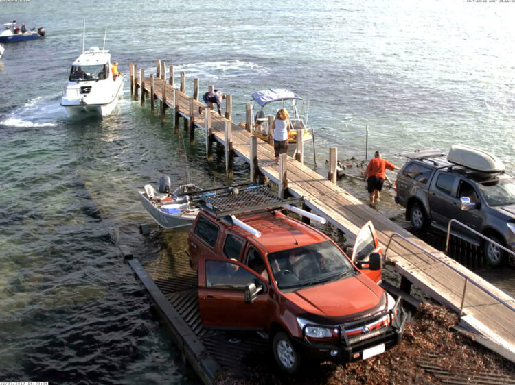 Know the rules for pink snapper in the Shark Bay region