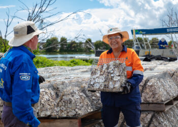 Shellfish reef restoration research to uncover the water quality value of oysters