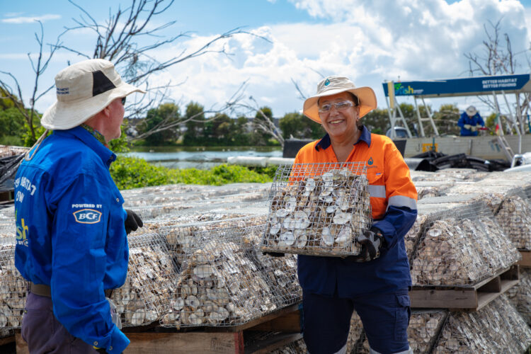 Shellfish reef restoration research to uncover the water quality value of oysters