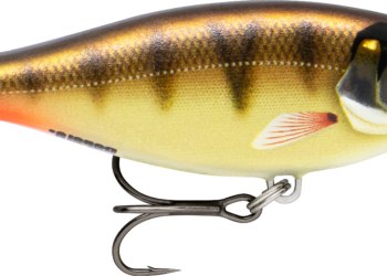 Rapala Shad Rap Elite 55